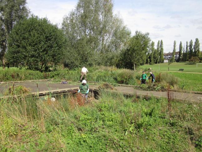 ©JLK Nature's Gym volunteers working at Chinbrook meadows