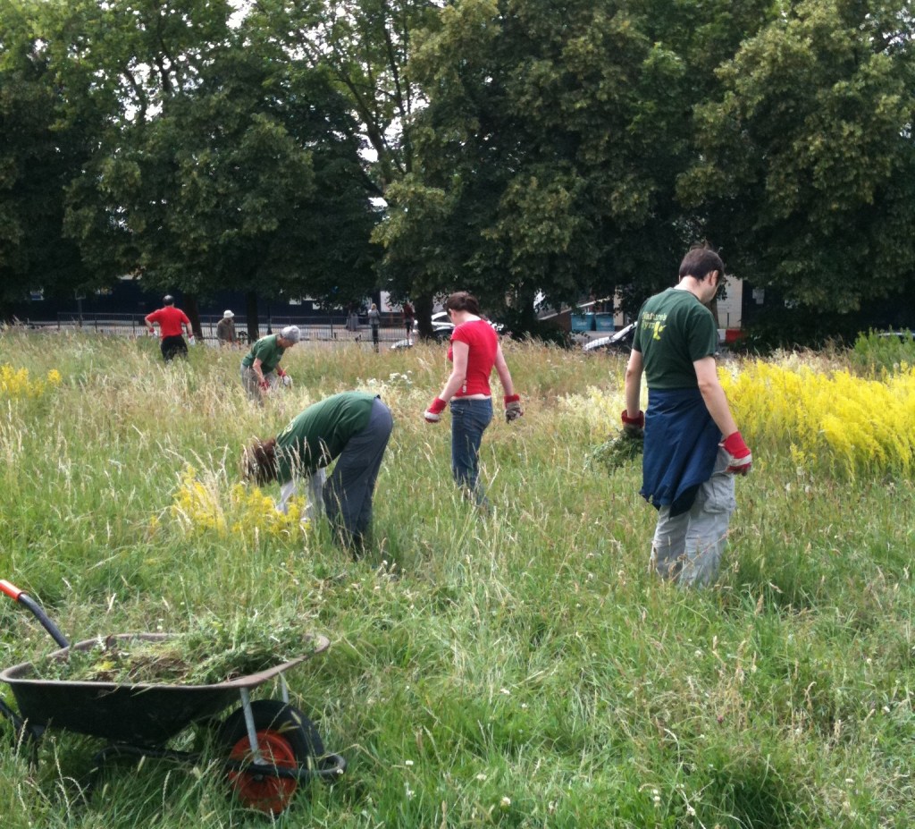 Nature's Gym volunteers working on Hilly Fields