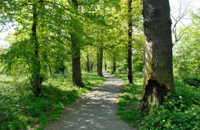 © All rights reserved by Darryl_SE7 - Flickr © All rights reserved by Darryl_SE7