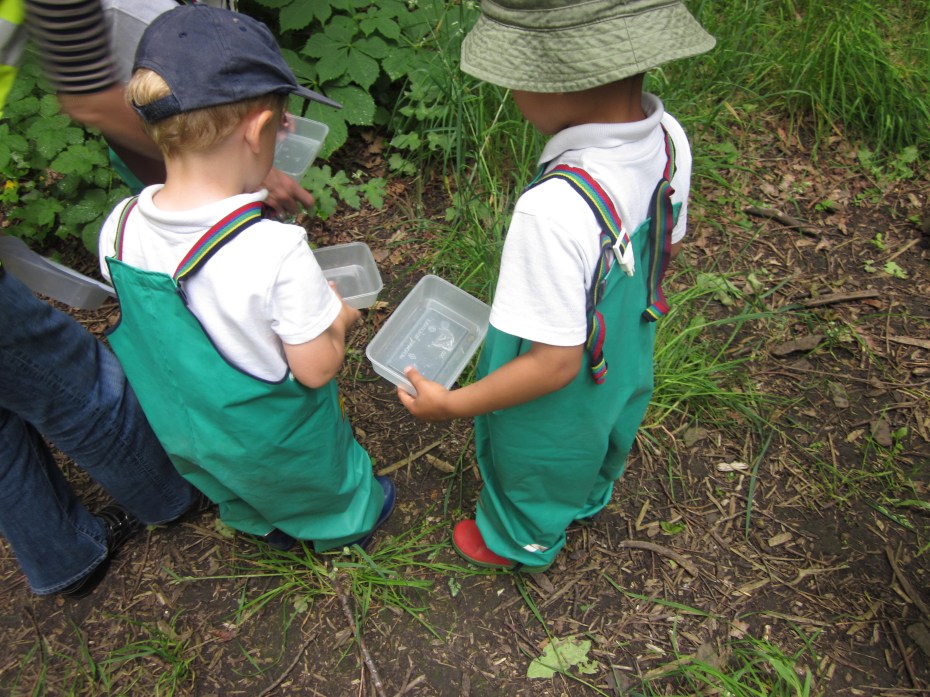 Looking for bugs in Grove Park