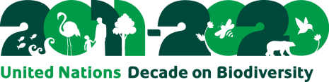 Decade_logo