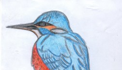 Lewisham Biodiversity Partnership 