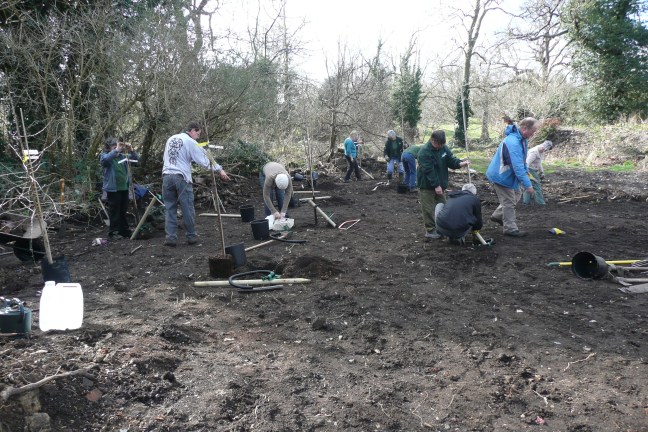 Overview of the planting site
