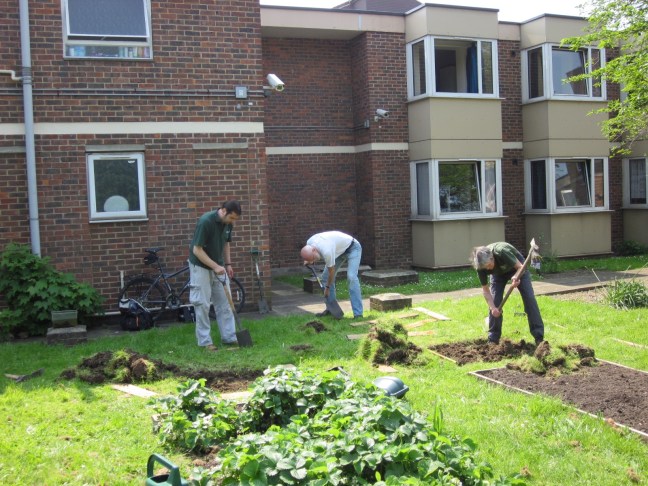2. Building raised beds