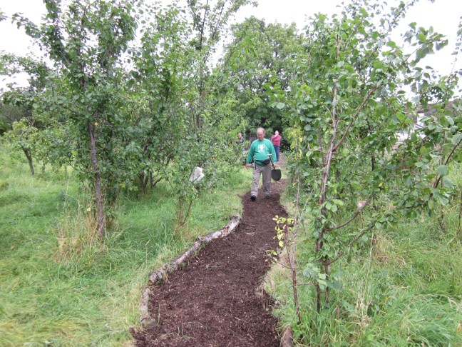 Volunteers at De Frene Road Allotments