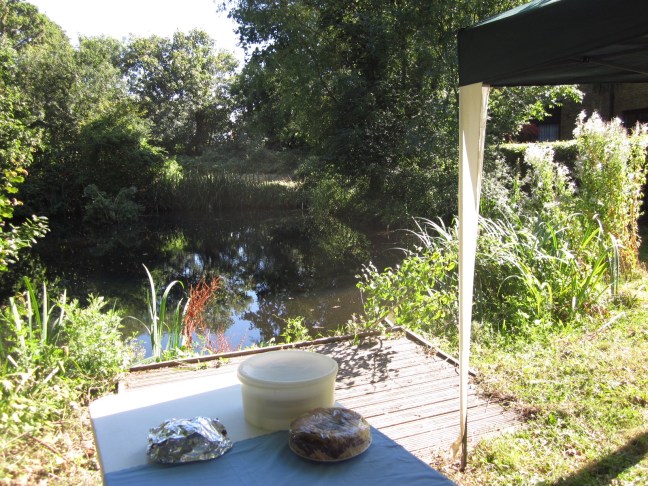 Baked delights and Burnt Ash Pond