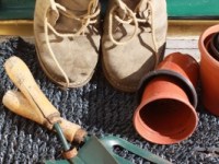 Wild Rangers – Volunteer Action&nbsp;Days