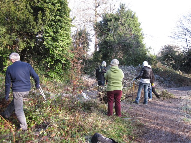 Despite the frozen ground we got a lot done!