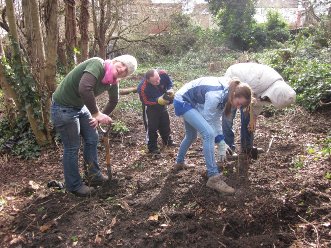 Planting whips is a happy business!
