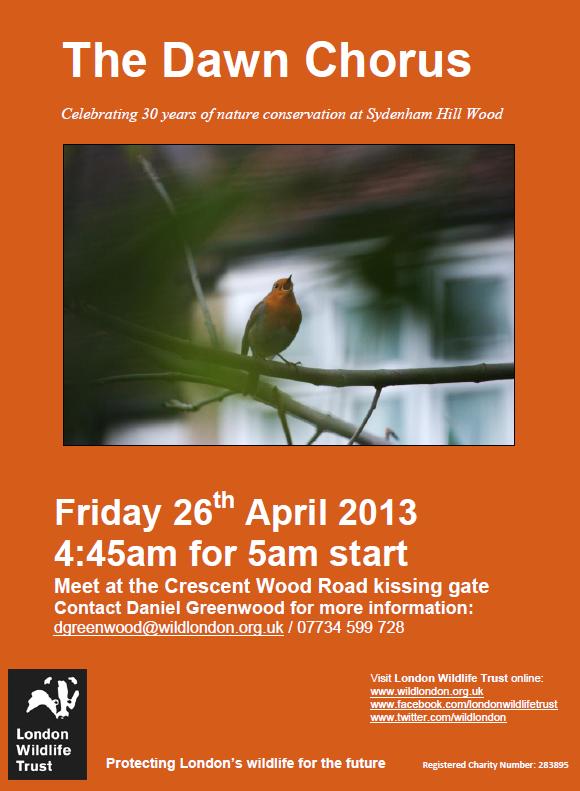Dawn Chorus walk at Sydenham Hill Woods