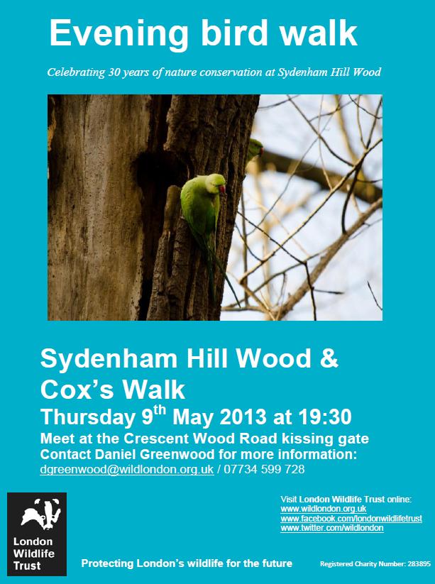 An evening bird walk