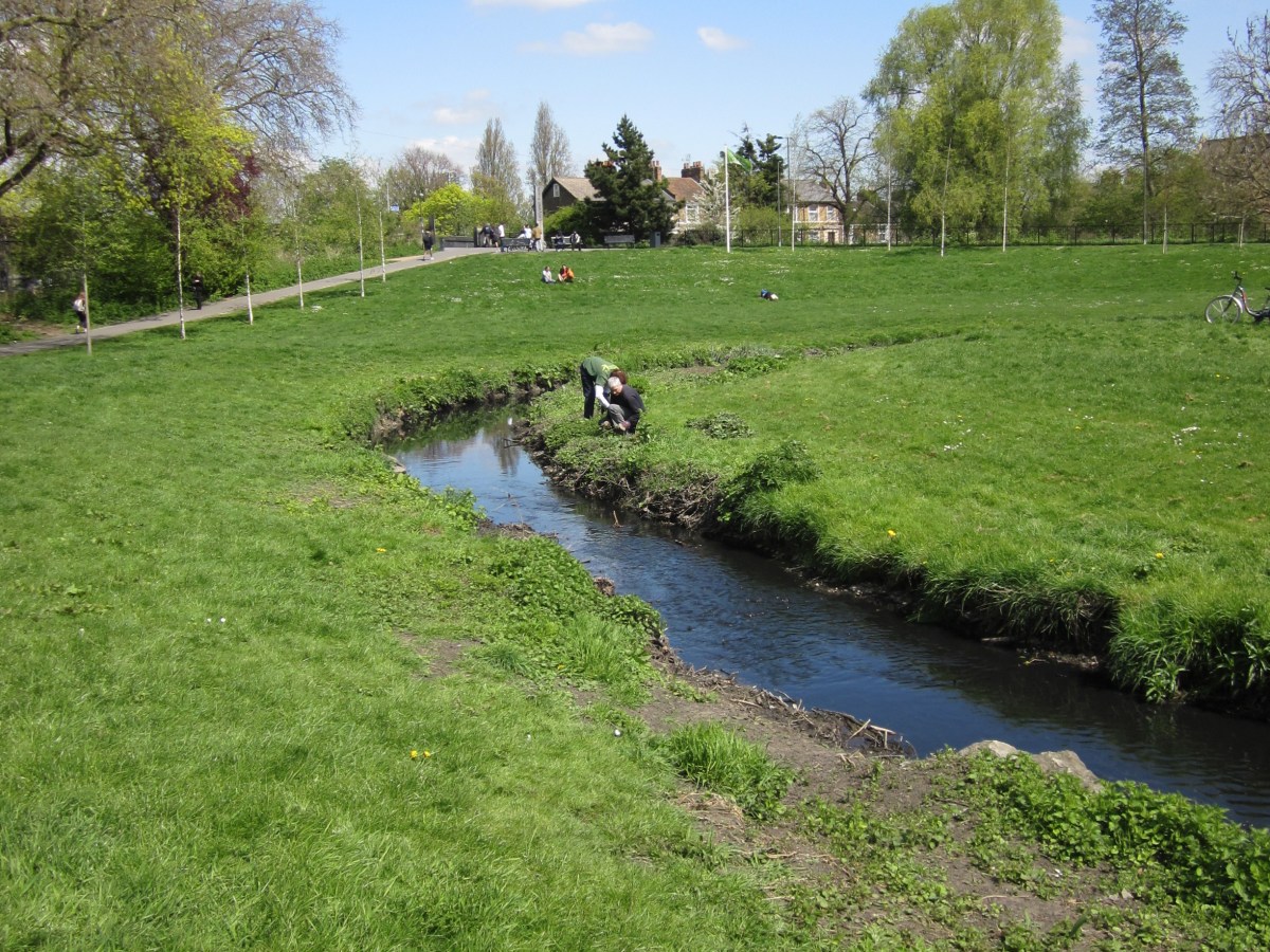 Ladywell Fields User Group&nbsp;events