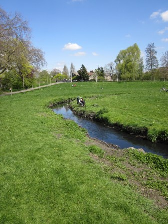 Bankside management in a sunny Ladywell Fields