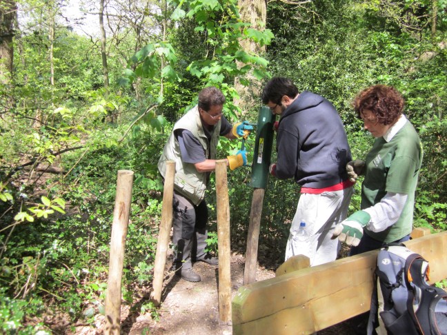 Banging in the posts to create the hedge