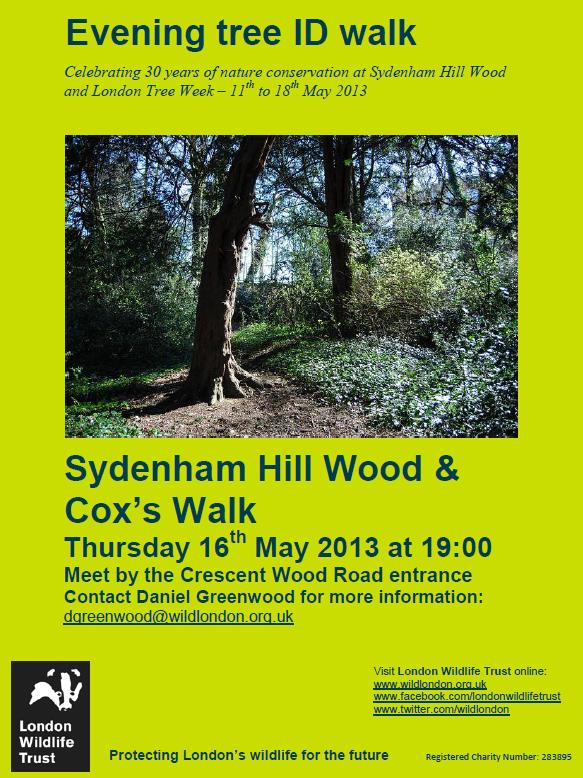 Sydenham Hill Woods