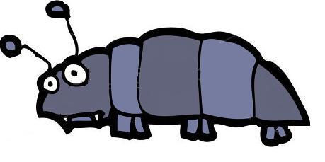 Education sessions with Lewisham's Nature Conservation Department