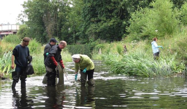 The 3 Rivers Clean Up in Cornmill