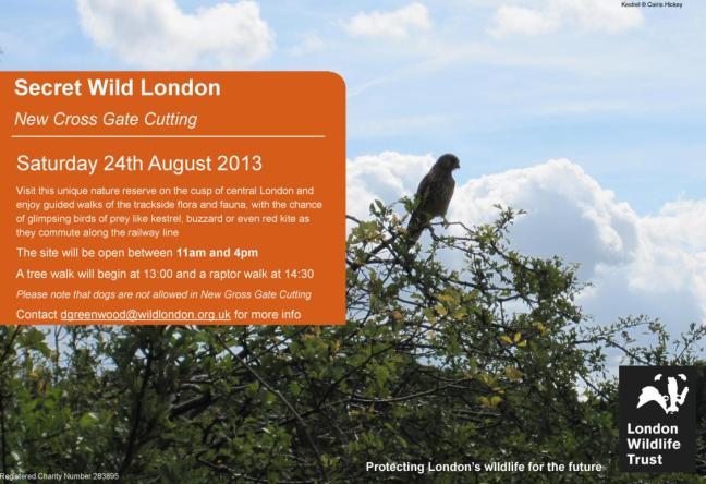 Visit this unique nature reserve with the London Wildlife Trust