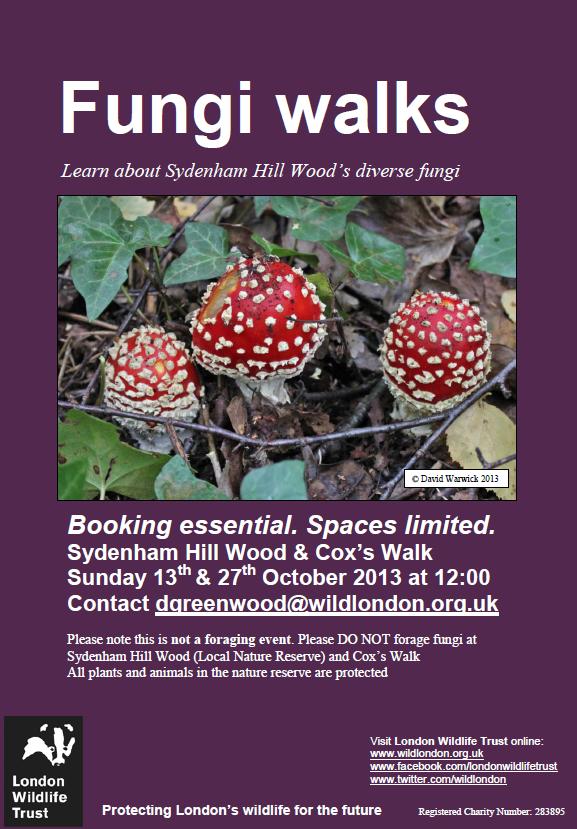 Fungi Walks at Sydenham Hill Woods