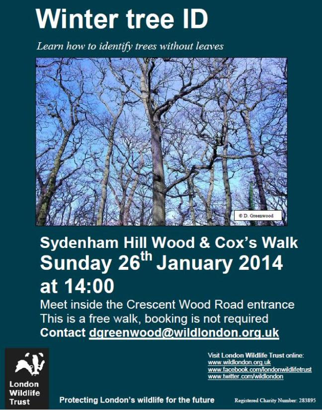 Join LWT and learn how to ID trees without their leaves