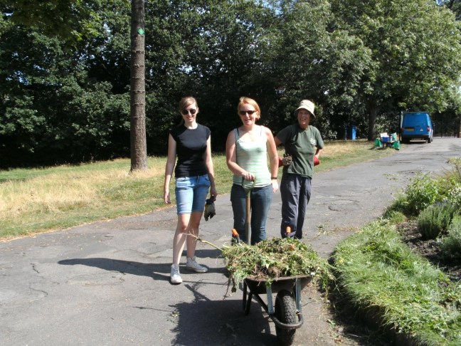 Nature's Gym, where the sun always shines!