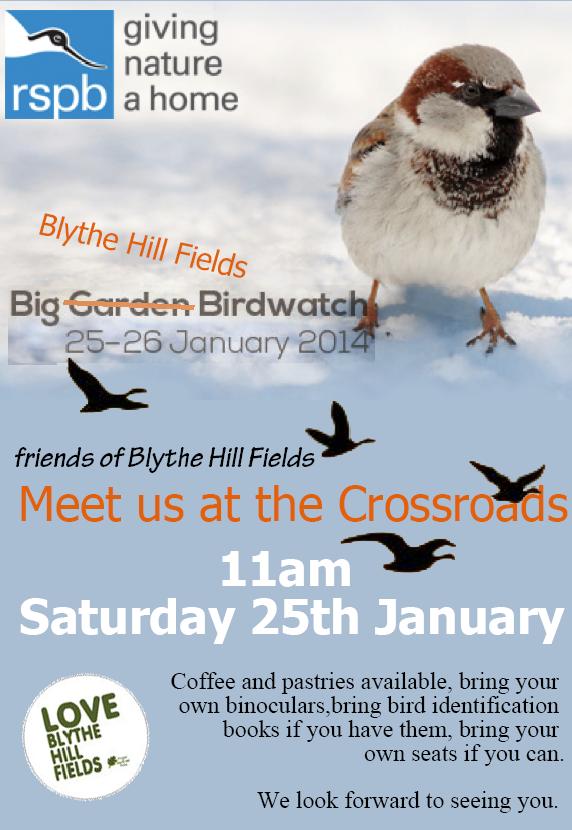 Blythe Hill Fields bird watch