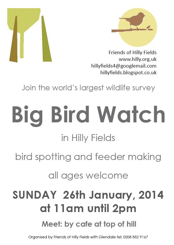 Hilly Fields bird watch