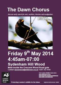 Dawn chorus walk