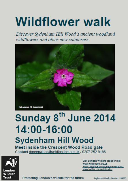 Sydenham Hill Wood event