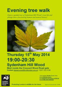 Tree Walk Sydenham Hill Wood