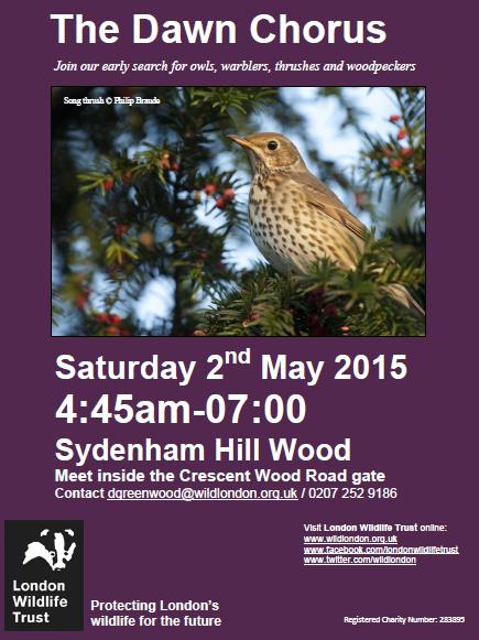 Dawn chorus 2nd may