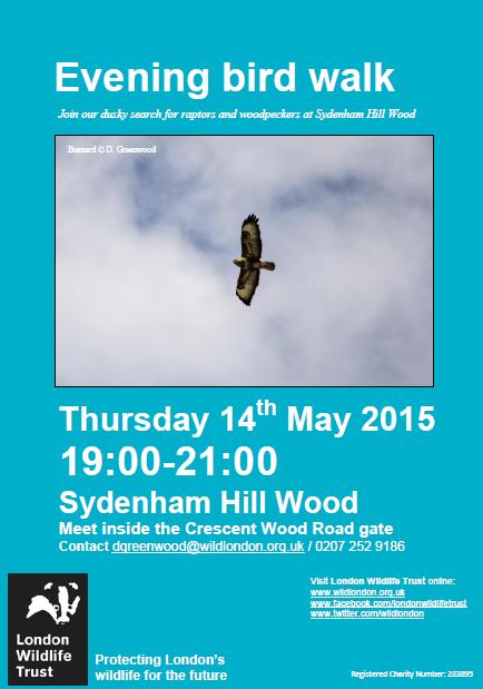 SHW 14.05.15 evening bird walk