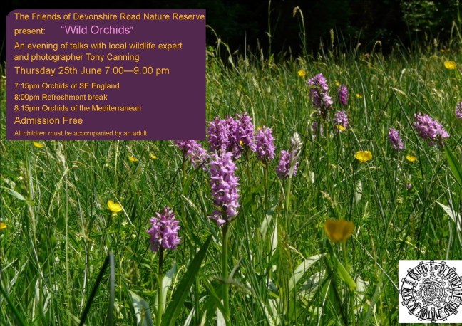 DRNR 2015 Orchid Poster