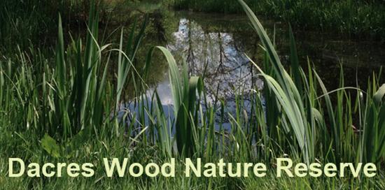 Dacres Wood AGM and Open Day