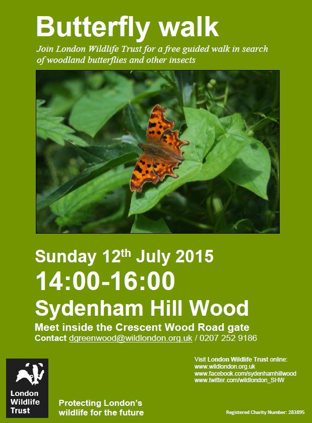 Butterfly Walk with LWT