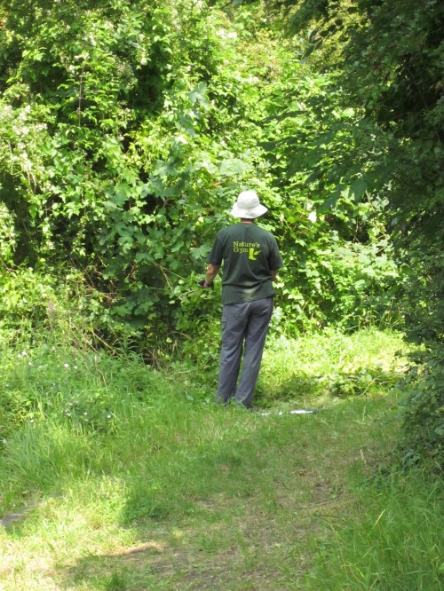 Garthorne Road Nature Reserve