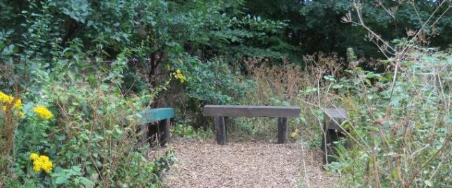 Bellenden Road Nature Garden