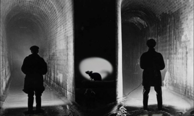 Penny Dreadful & Creekside Education Trust in association with Lewisham Arts presents..