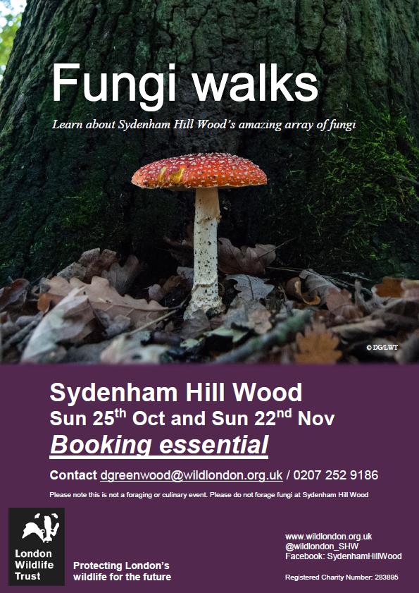 Fungi walks with London Wildlife Trust