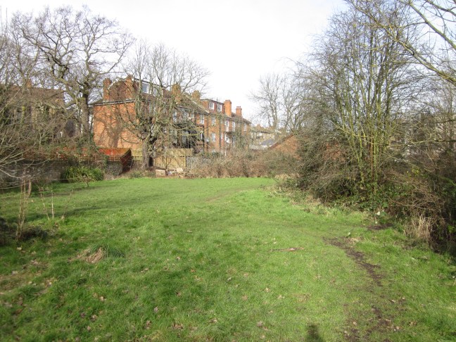 Help out at Albion Millennium Green