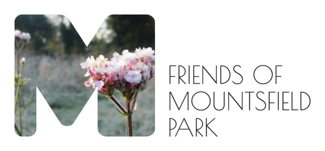 Join the Friends of Mountsfield Park at the meeting and give your views