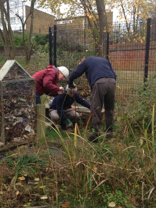 Nature's Gym volunteers get to work on 'live' willow hedge