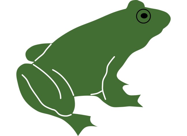 silhouette of a frog ©Rones
