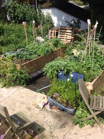 Crofton Park Railway Garden
