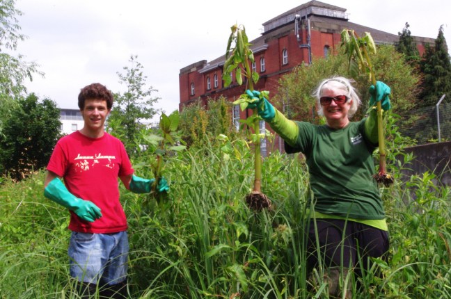 Join in with some watery fun