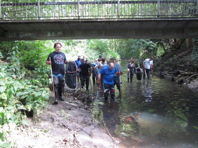 Wading in the Ravensbourne