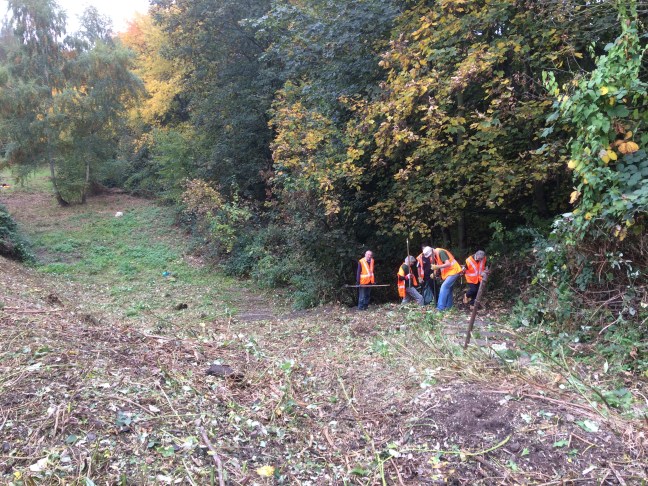 Friends & volunteers on the steps ay Hither Green Triangle