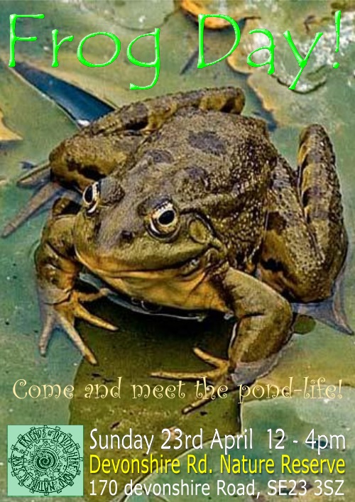 Frog Day 2017