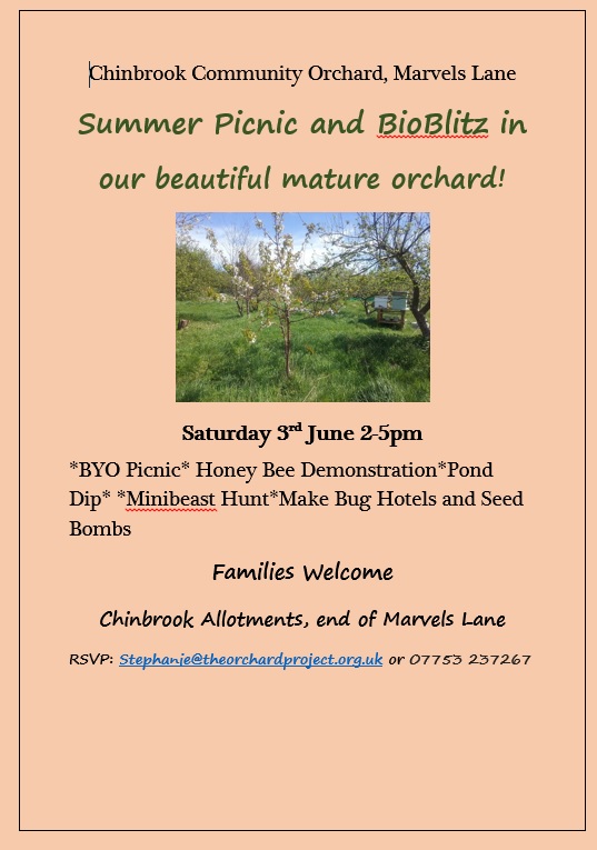 Orchard project - Chinbrook