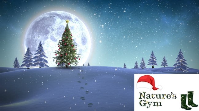 2017 Happy Christmas 5